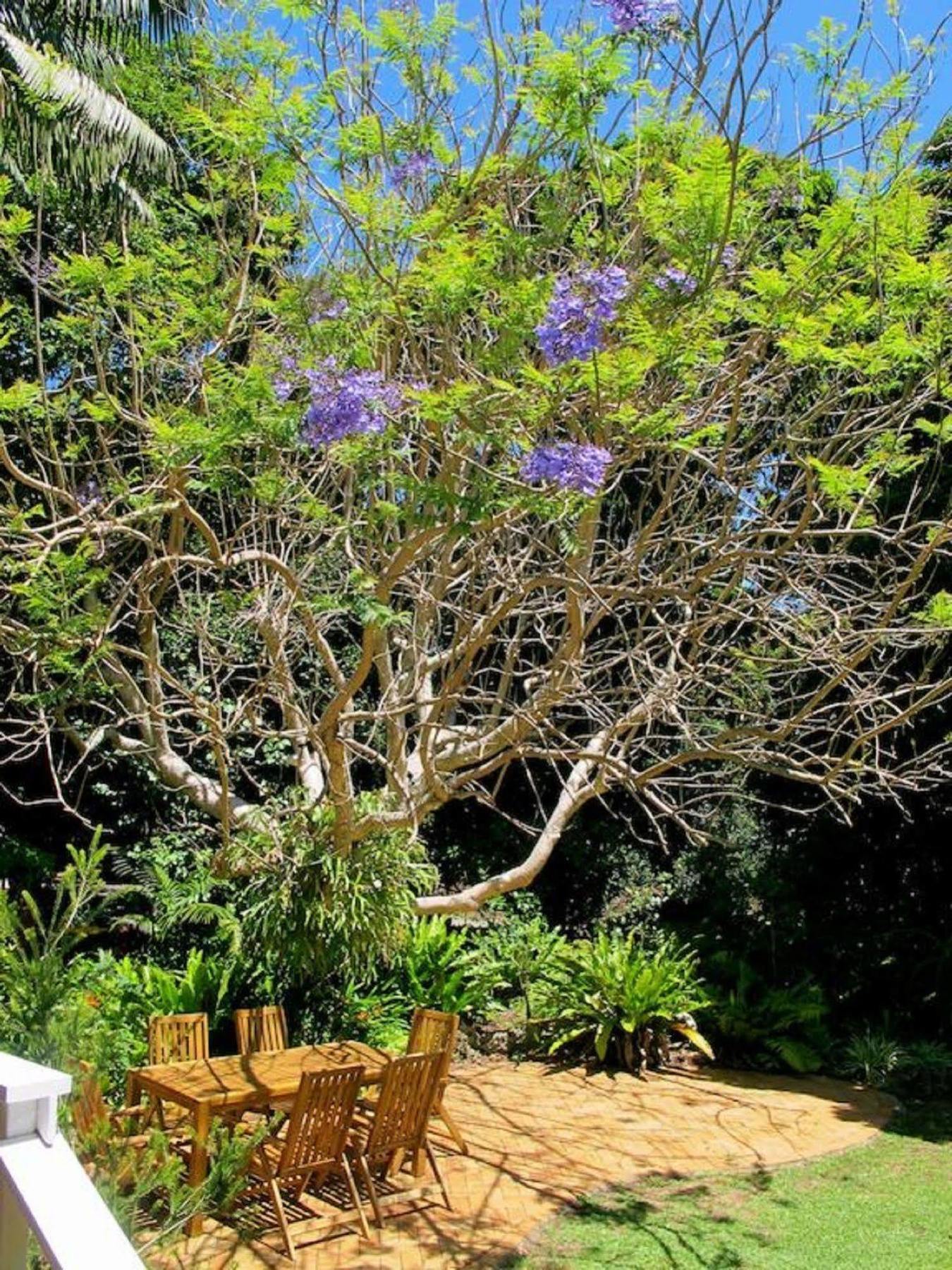 Beachcomber Lodge Lord Howe Island Luaran gambar